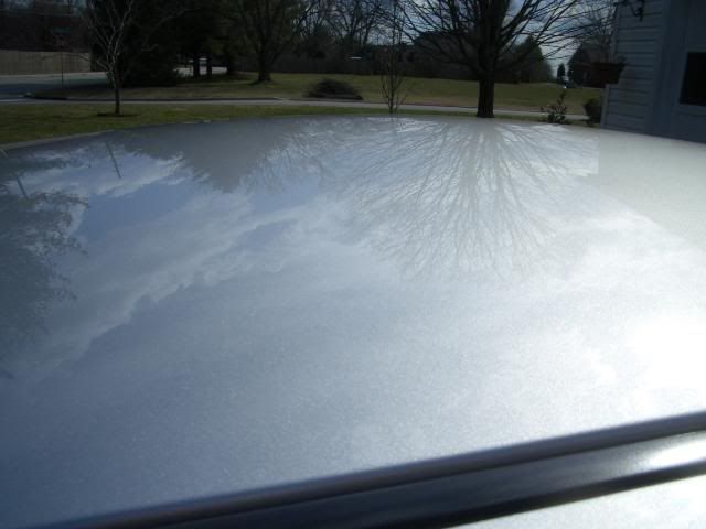 CIMG0118.jpg